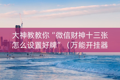 大神教教你“微信财神十三张怎么设置好牌”（万能开挂器)