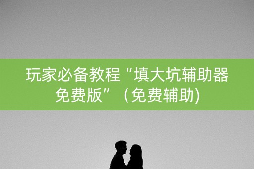 玩家必备教程“填大坑辅助器免费版”（免费辅助)