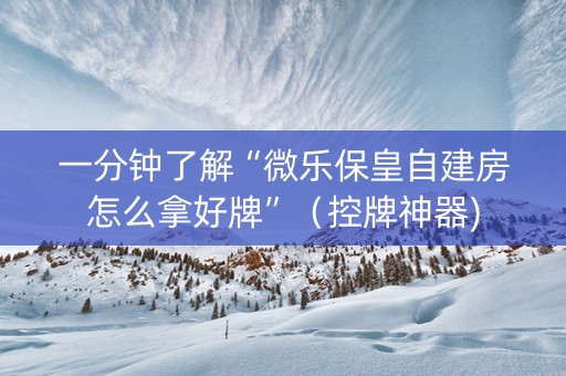 一分钟了解“微乐保皇自建房怎么拿好牌”（控牌神器)
