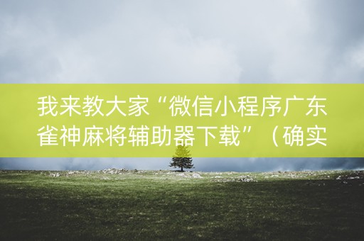 我来教大家“微信小程序广东雀神麻将辅助器下载”（确实有插件吗)