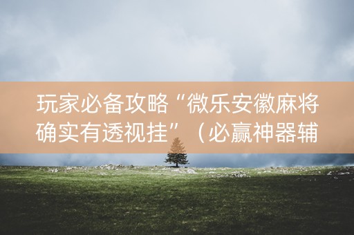 玩家必备攻略“微乐安徽麻将确实有透视挂”（必赢神器辅助器)