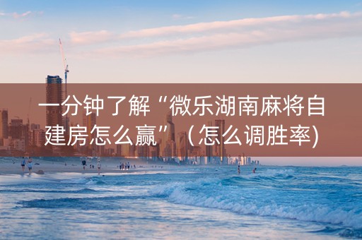 一分钟了解“微乐湖南麻将自建房怎么赢”（怎么调胜率)
