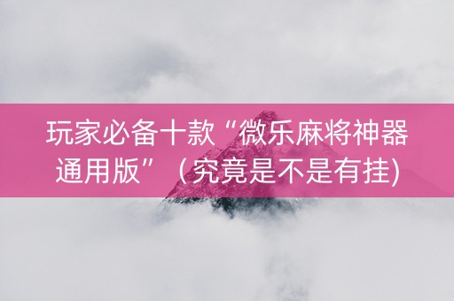 玩家必备十款“微乐麻将神器通用版”（究竟是不是有挂)