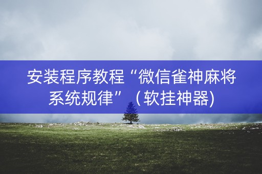 安装程序教程“微信雀神麻将系统规律”（软挂神器)