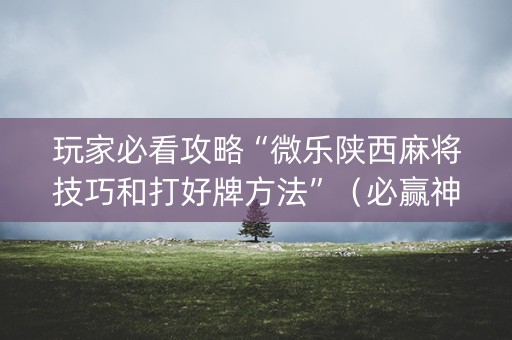 玩家必看攻略“微乐陕西麻将技巧和打好牌方法”（必赢神器)