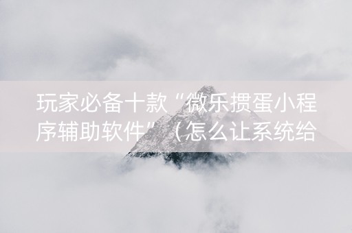 玩家必备十款“微乐掼蛋小程序辅助软件”（怎么让系统给你发好牌)