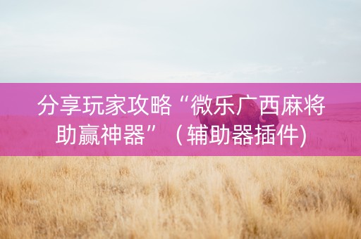分享玩家攻略“微乐广西麻将助赢神器”（辅助器插件)