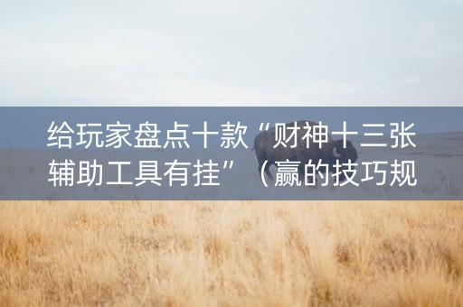 给玩家盘点十款“财神十三张辅助工具有挂”（赢的技巧规律)