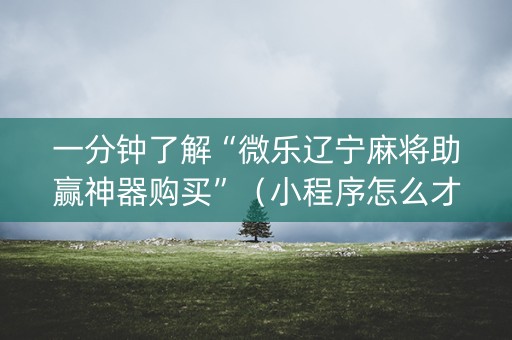 一分钟了解“微乐辽宁麻将助赢神器购买”（小程序怎么才会赢)