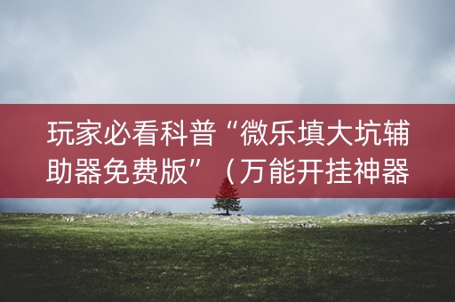 玩家必看科普“微乐填大坑辅助器免费版”（万能开挂神器)