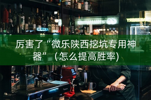 厉害了“微乐陕西挖坑专用神器”（怎么提高胜率)