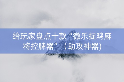 给玩家盘点十款“微乐捉鸡麻将控牌器”（助攻神器)