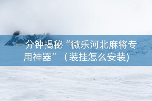 一分钟揭秘“微乐河北麻将专用神器”（装挂怎么安装)