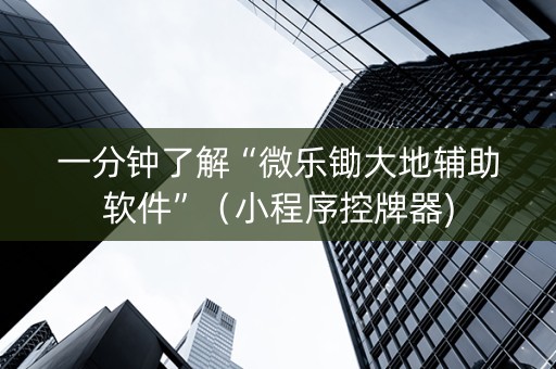 一分钟了解“微乐锄大地辅助软件”（小程序控牌器)