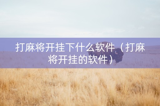 打麻将开挂下什么软件（打麻将开挂的软件）