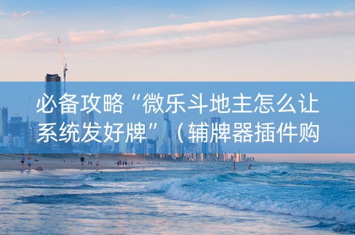 必备攻略“微乐斗地主怎么让系统发好牌”（辅牌器插件购买)