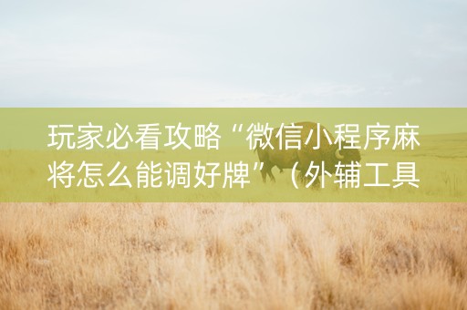 玩家必看攻略“微信小程序麻将怎么能调好牌”（外辅工具)