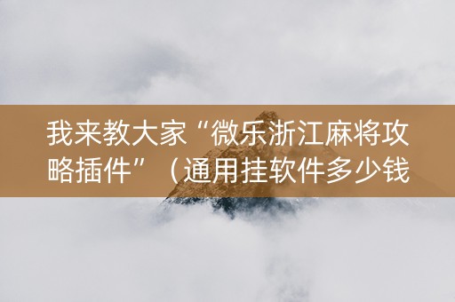 我来教大家“微乐浙江麻将攻略插件”（通用挂软件多少钱)