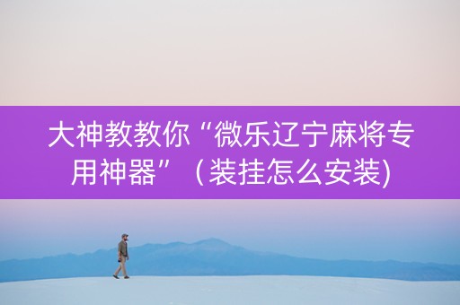 大神教教你“微乐辽宁麻将专用神器”（装挂怎么安装)
