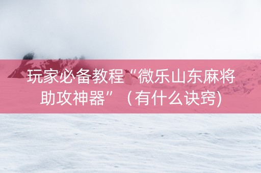 玩家必备教程“微乐山东麻将助攻神器”（有什么诀窍)