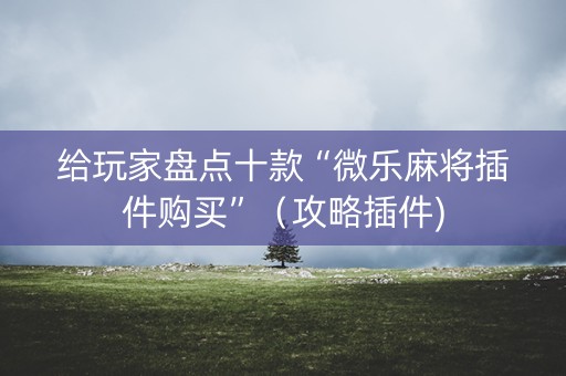 给玩家盘点十款“微乐麻将插件购买”（攻略插件)
