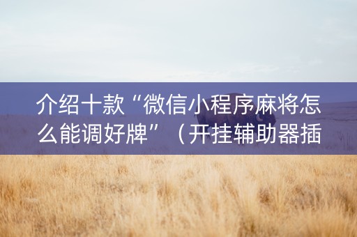介绍十款“微信小程序麻将怎么能调好牌”（开挂辅助器插件)