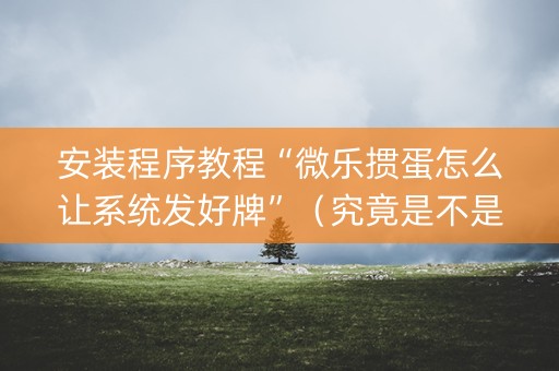 安装程序教程“微乐掼蛋怎么让系统发好牌”（究竟是不是有挂)