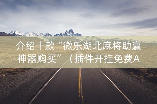 介绍十款“微乐湖北麻将助赢神器购买”（插件开挂免费AI)