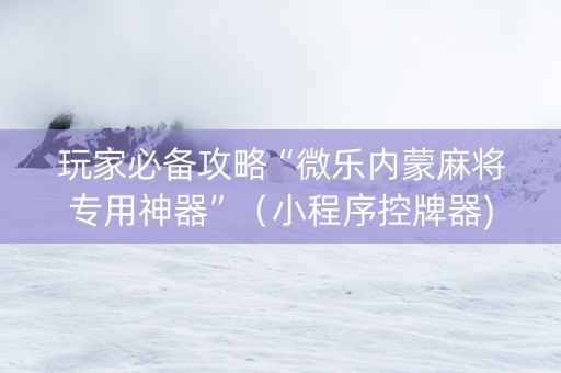 玩家必备攻略“微乐内蒙麻将专用神器”（小程序控牌器)