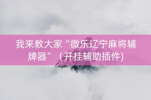 我来教大家“微乐辽宁麻将辅牌器”（开挂辅助插件)