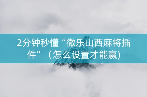 2分钟秒懂“微乐山西麻将插件”（怎么设置才能赢)