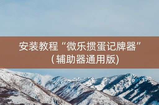 安装教程“微乐掼蛋记牌器”（辅助器通用版)