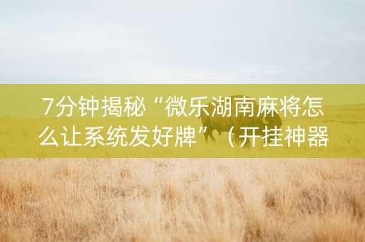 7分钟揭秘“微乐湖南麻将怎么让系统发好牌”（开挂神器下载)