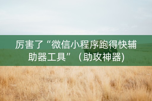厉害了“微信小程序跑得快辅助器工具”（助攻神器)
