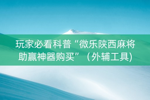 玩家必看科普“微乐陕西麻将助赢神器购买”（外辅工具)