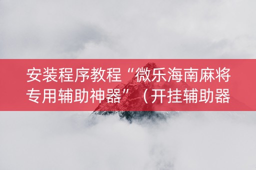 安装程序教程“微乐海南麻将专用辅助神器”（开挂辅助器脚本)
