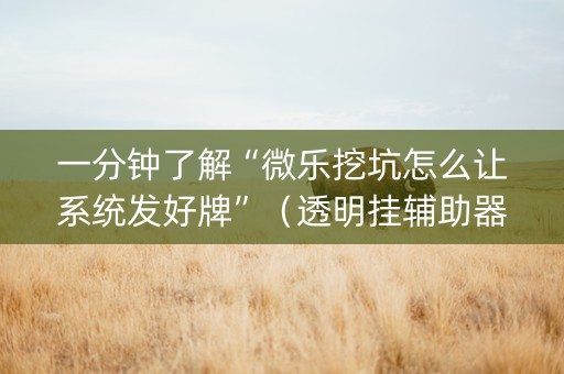 一分钟了解“微乐挖坑怎么让系统发好牌”（透明挂辅助器)
