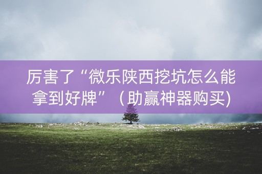 厉害了“微乐陕西挖坑怎么能拿到好牌”（助赢神器购买)