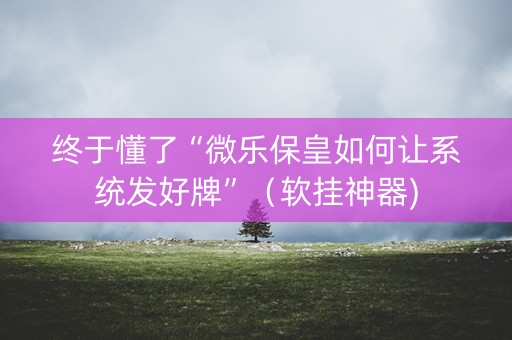 终于懂了“微乐保皇如何让系统发好牌”（软挂神器)
