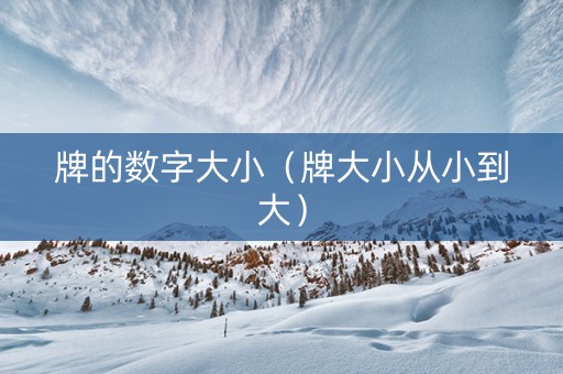 牌的数字大小（牌大小从小到大）