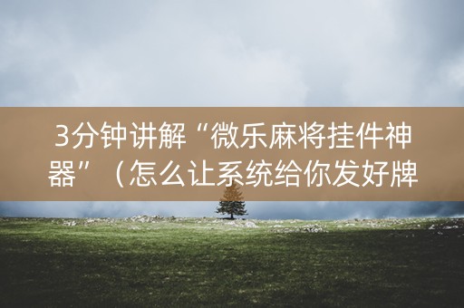 3分钟讲解“微乐麻将挂件神器”（怎么让系统给你发好牌)