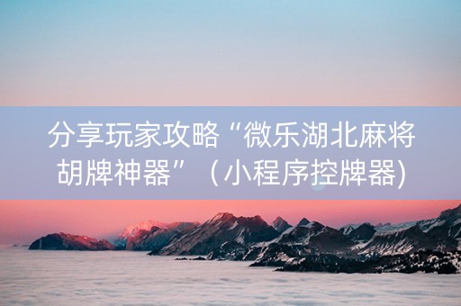 分享玩家攻略“微乐湖北麻将胡牌神器”（小程序控牌器)