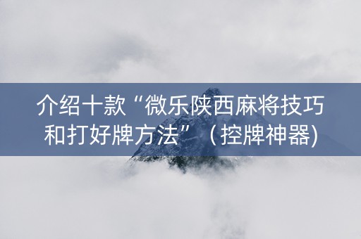 介绍十款“微乐陕西麻将技巧和打好牌方法”（控牌神器)