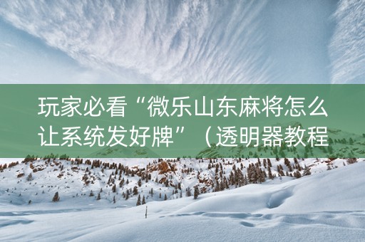玩家必看“微乐山东麻将怎么让系统发好牌”（透明器教程)