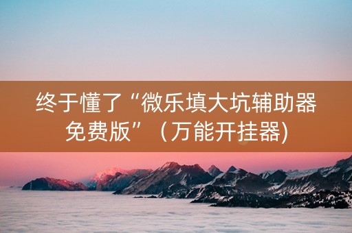终于懂了“微乐填大坑辅助器免费版”（万能开挂器)