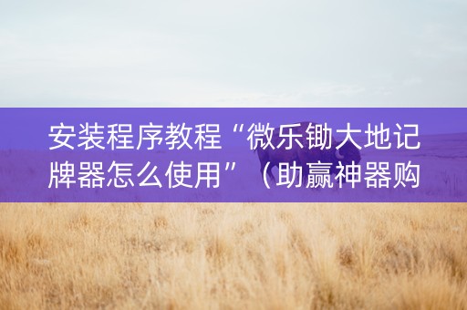 安装程序教程“微乐锄大地记牌器怎么使用”（助赢神器购买)
