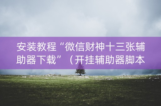 安装教程“微信财神十三张辅助器下载”（开挂辅助器脚本)