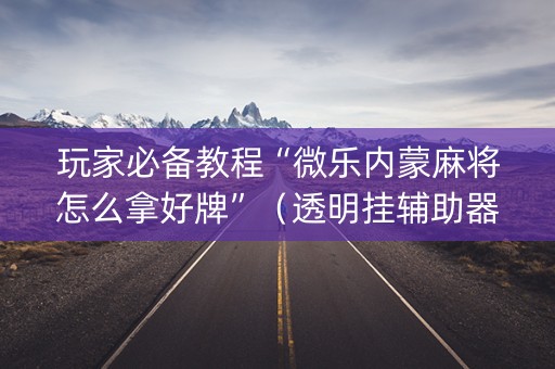 玩家必备教程“微乐内蒙麻将怎么拿好牌”（透明挂辅助器)