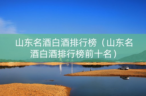 山东名酒白酒排行榜（山东名酒白酒排行榜前十名）