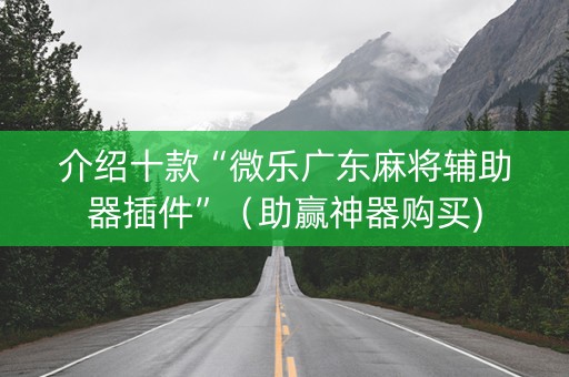 介绍十款“微乐广东麻将辅助器插件”（助赢神器购买)